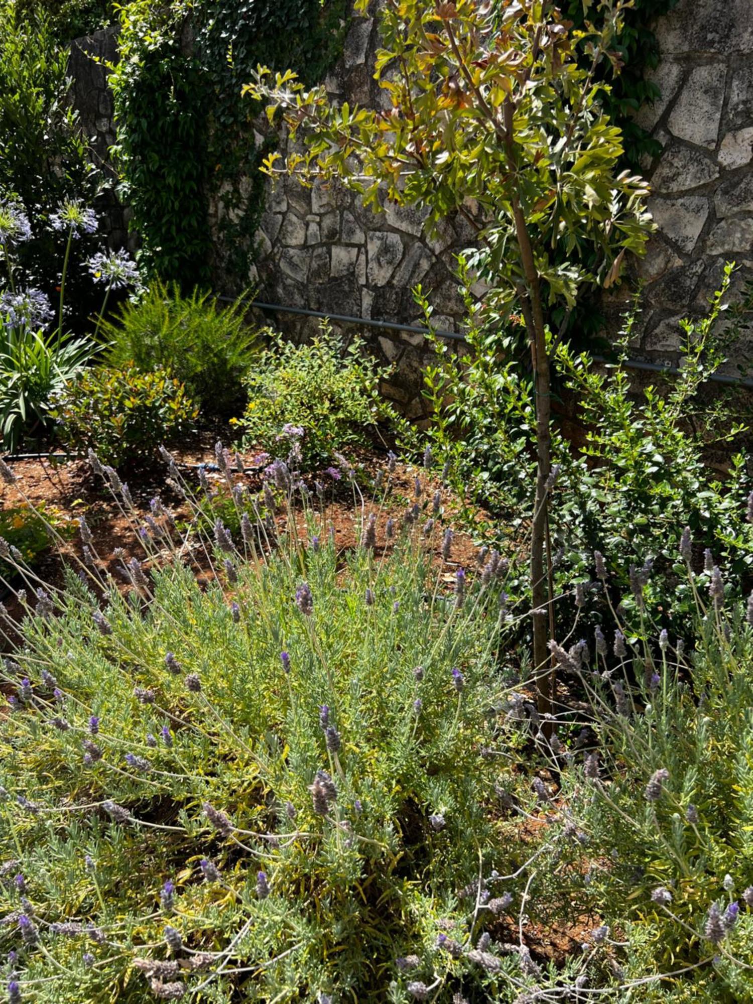 Dimora Di Bari Villa Selva Di Fasano Luaran gambar